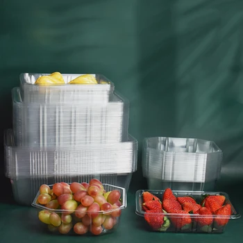 Clamshell Fruit Box Packaging Eco-Friendly PET Material for Vegetable And Fruits Plastic Containers