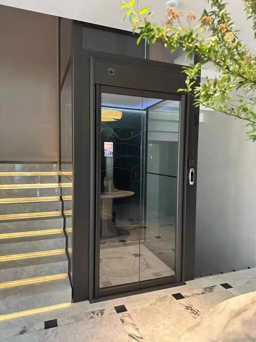 Cheap 2 to 3 Stops Mini Residential Elevator One Person Small Elevator for Homes Price