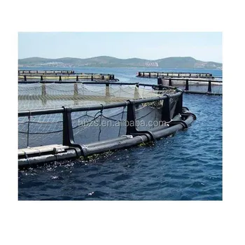 fish farming cage sets sea sea