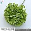 Pintura al óleo de cuatro esquinas, hortensia YWH Verde.