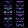 A set of 8 FA001-008 fluorescent face patches combination set