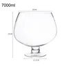 7000 ml