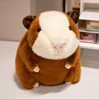 Brown guinea pig