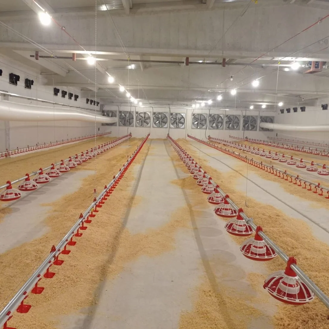 Poultry-Feed-Production-Line Feeding Line for Poultry Chicken Feeder Machine