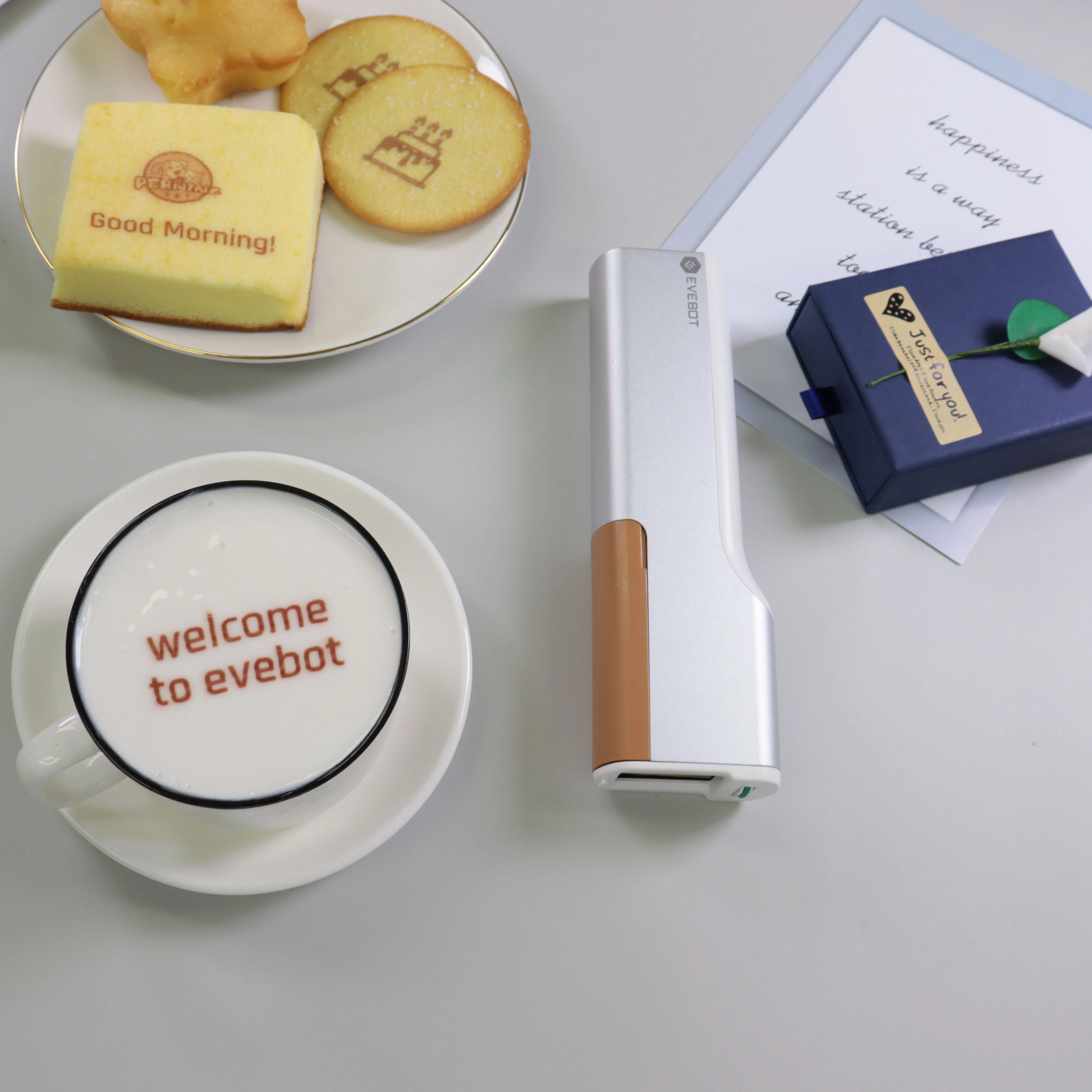 Evebotハンドヘルド食品グレードプリンターPrintPenミニインクジェット