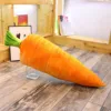 Carrots-75cm
