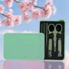 Matcha Green 6-Piece Set