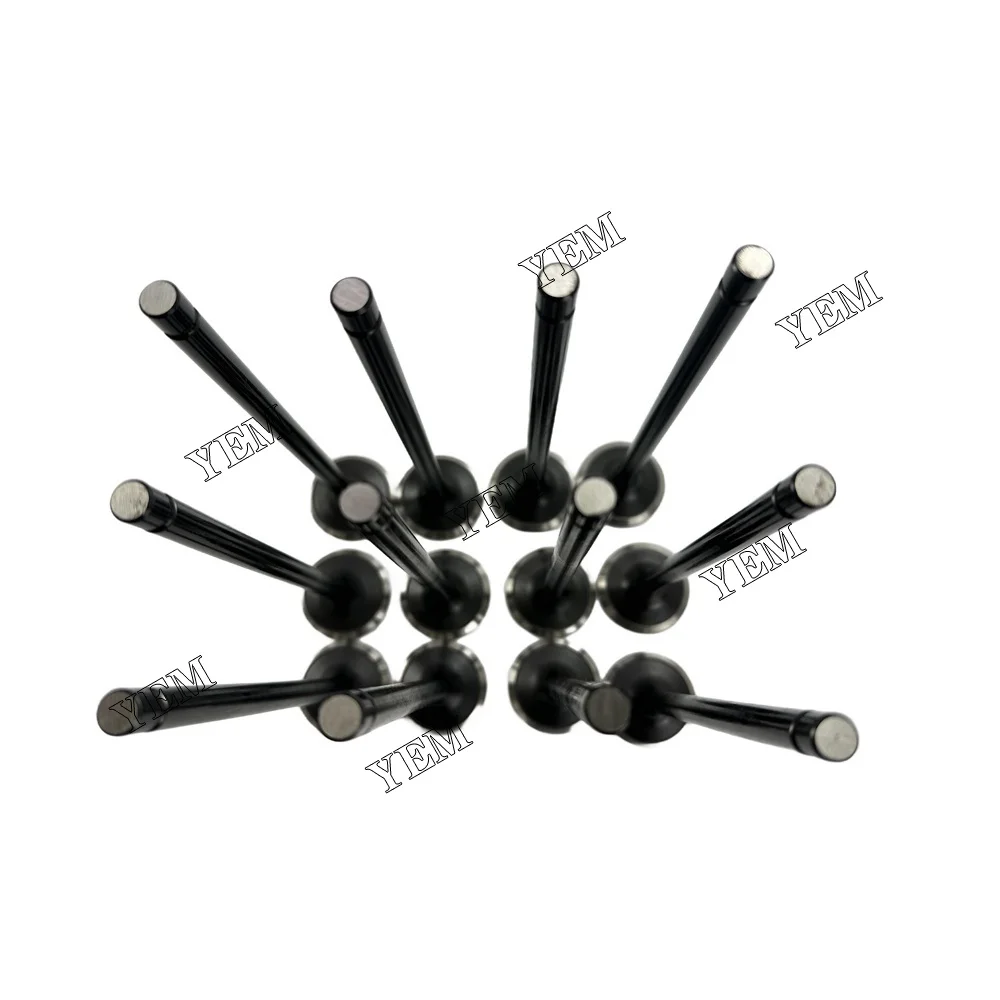 Exhaust Valve Fit for Hyundai D6CB Engine 3