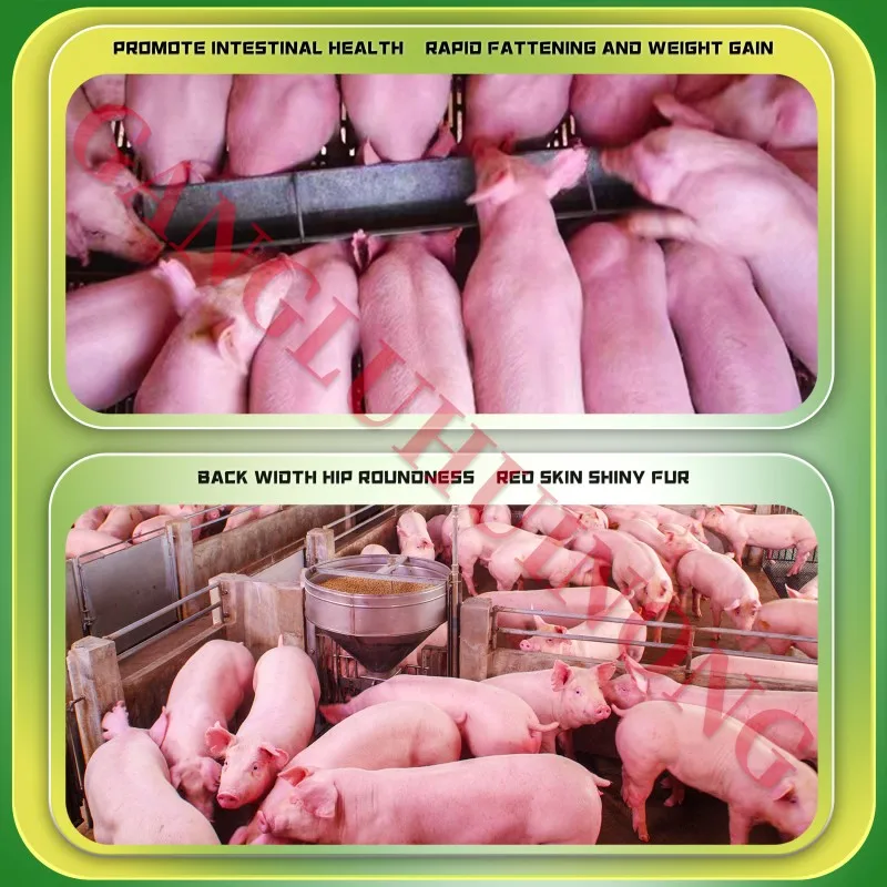 Pig Growth Weight Gain Booster Swine Feed Supplement Pork Meat Enhancer Livestock Feed Additives Animal Vitamin Weight Promoter