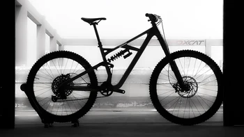 2025 FOXCAT 29/27.5インチソフトテールマウンテンバイクフル