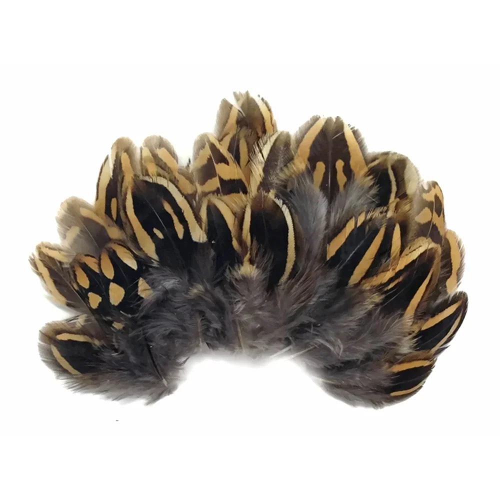 Partridge Pheasant Feathers for Sale  Small  Feathers  Natural