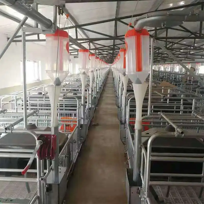Pig Farm Automatic Plug Tray Feeding System, Sow, Fattening Pig Automatic Feeding Equipment
