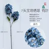 Two-headed pagoda hydrangea with leaves, blue