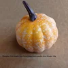 Snowy Pumpkin