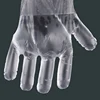 transparent