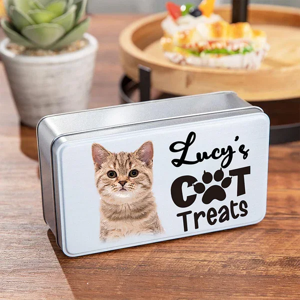 Custom Airtight Dog Treat Storage Metal Round Tin Cat Dog Packaging
