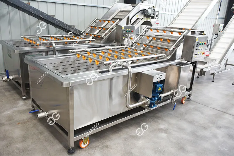 Gelgoog 500Kg/H Avocado Washing and Packing Processing Plant Mandarin Orange Cleaning Sorting Machine for Orange