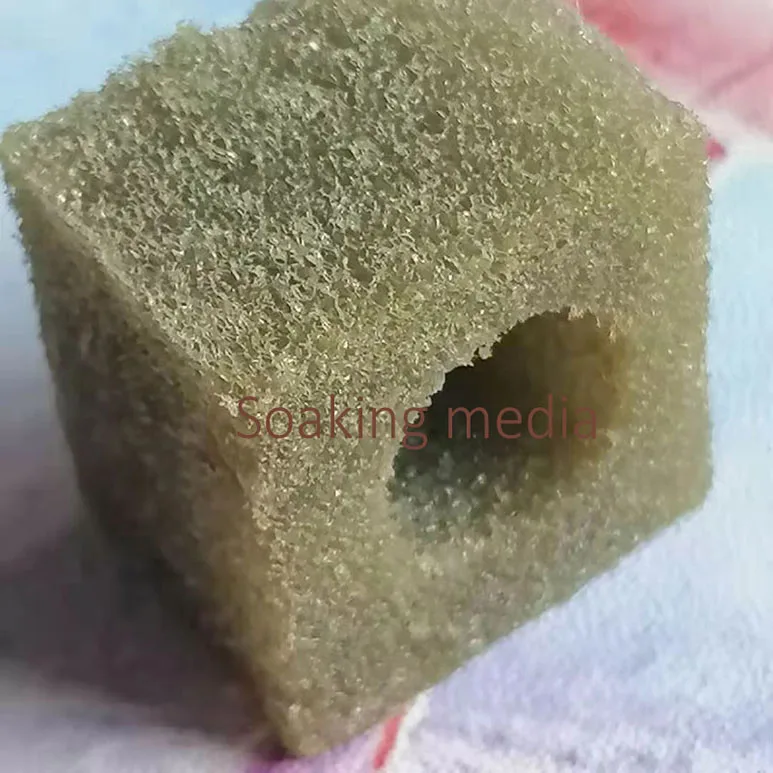 soaking foam.jpg