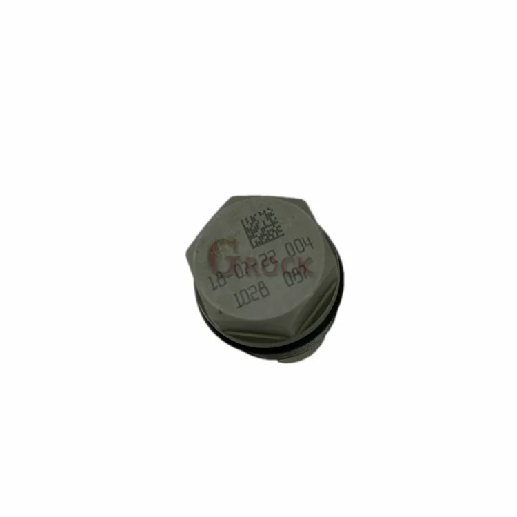 Common Rail Pressure Limiting Valve 1 110 010 028