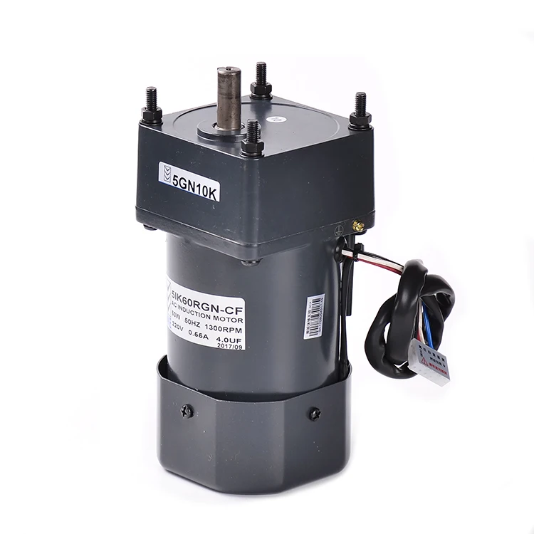 90mm 40w 60w Universal Induction Single Phase Ac Electric Gear Motor 220v 110v 10 Rpm