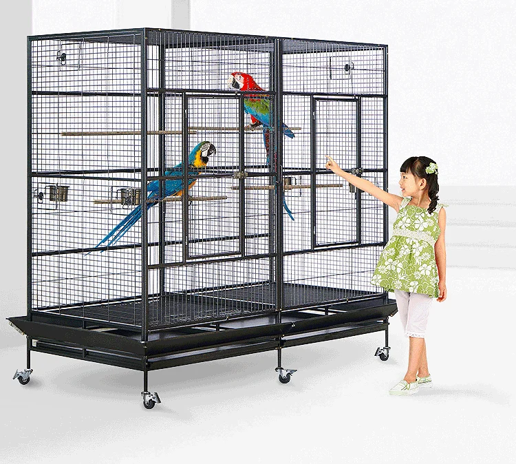 parrot cages online