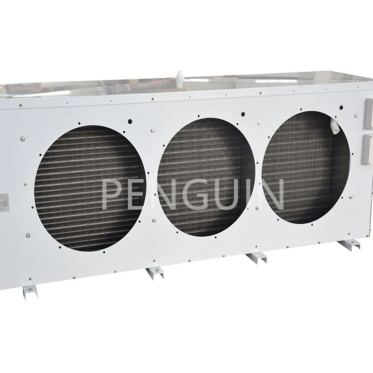 Blast Freezer, CE - detail 10