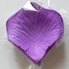 Sfumatura viola