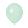 H17 Macaroon Green