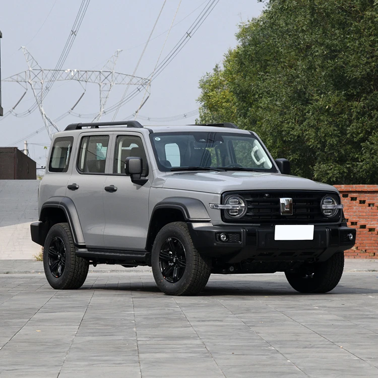 GWM TANK 300 SUV 2024 Hot Sale 5-Door 4x4 SUV from China