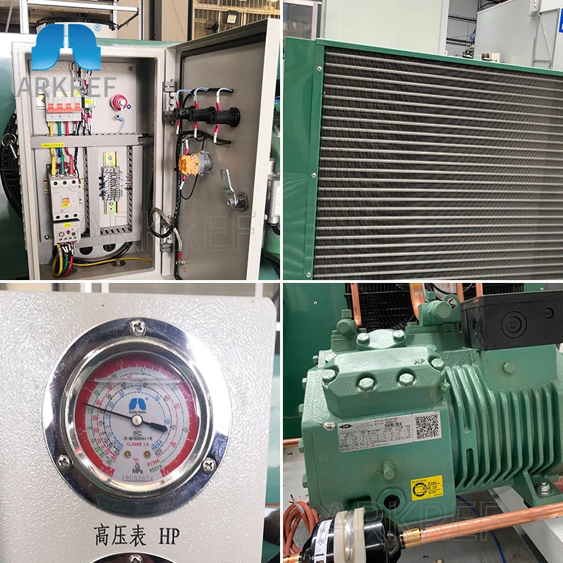 Arkref Cold Room Cold Storage High Performance Two Stage Bitzer Compressor Air Cooled Condensing Unit