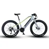 Gray/Fluorescent Yellow