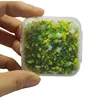 colorful Yellow and White - mo small box pack
