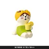 Dy2245-7 gatto con pelle di pompelmo