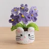 Purple Forget-Me-Not