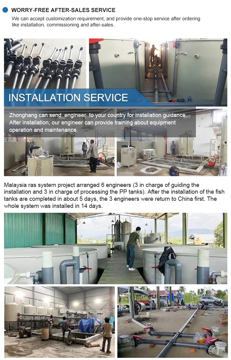 Система говяжьих креветок Ras, оборудование для инкубации креветок, Рыба для аквакультуры Betta