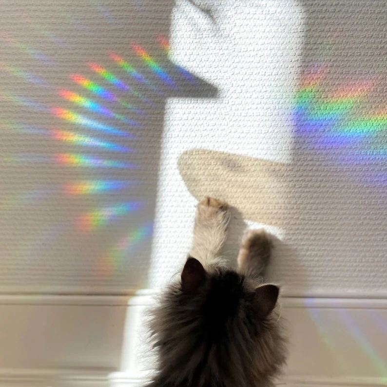 New Designs Sun Catcher Window Decal Stickers With Adhesive Custom Prism Rainbow Maker Suncatcher Sticker