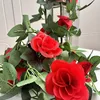 Rose vine with 16 large red flowers [1 vine]