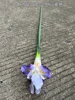 15#- Iris (Ireland)-Purple