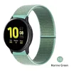 marine green color