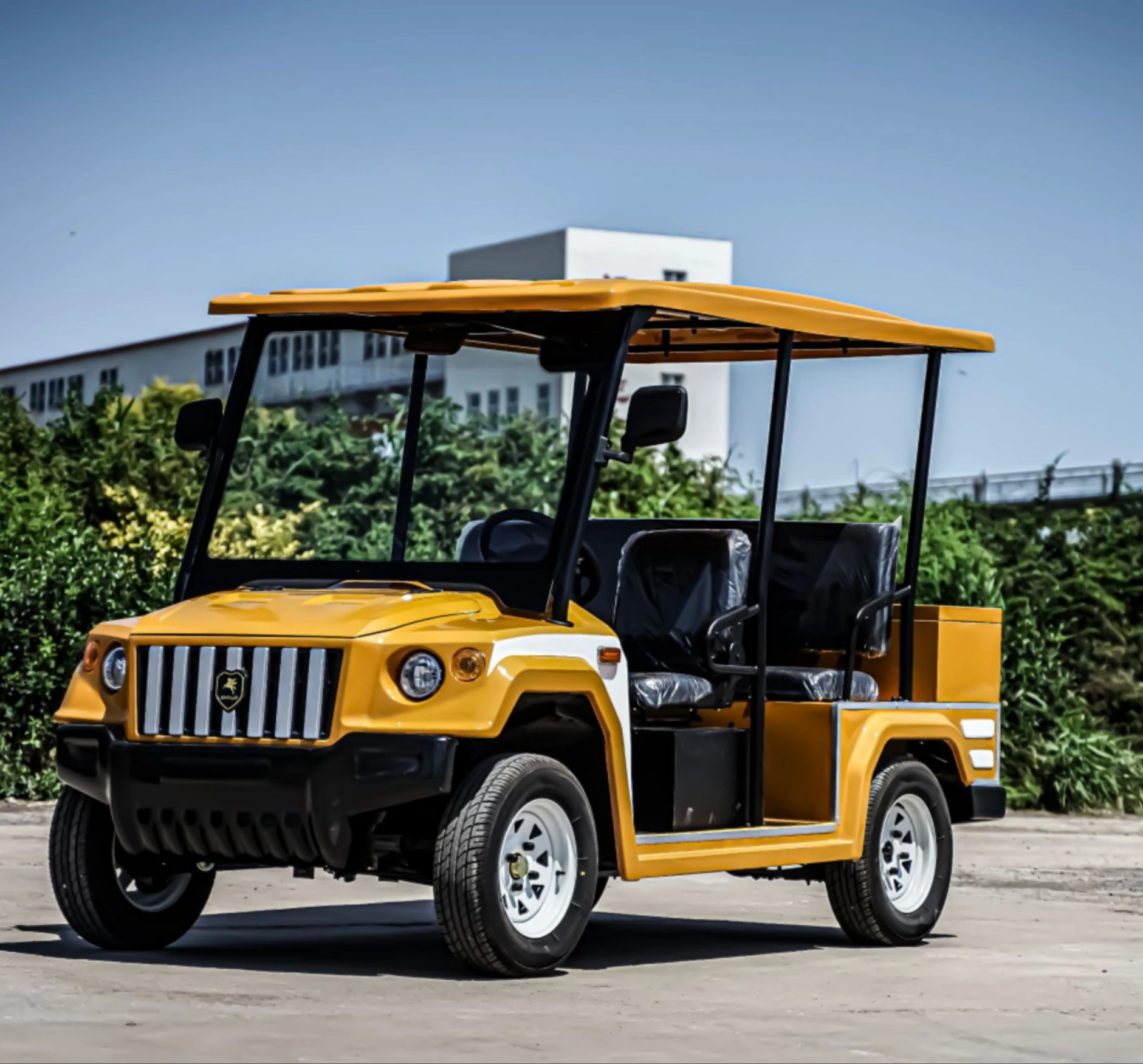 Custom Wholesale Gasoline Electric Golf Cart Golf Buggy Golf Car Buy Electric Golf Cart,Golf