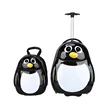 Pinguino
