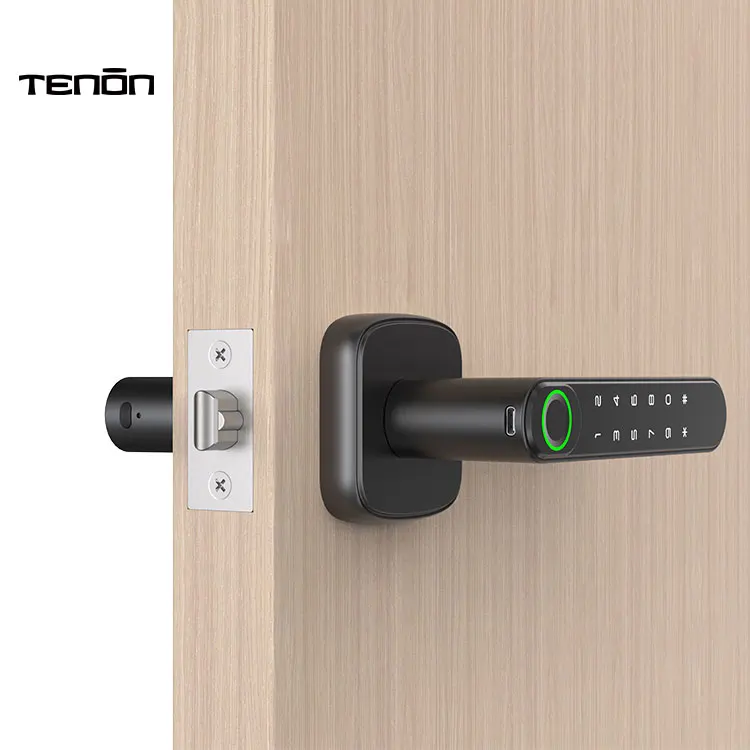 TENON K1 Biometric Fingerprint Mini Lock Wood Doors Smart Indoor Office Apartment Europe Handle WiFi Card Face Recognition Cloud