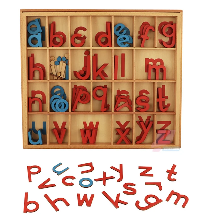 Small Movable Print Font Alphabet in a Split Level Box Montessori Materials  Wooden Toys Letters - China Intellectual & Educational Toys, Montessori  Materials