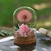Pink - 1