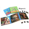 Magnetic Puzzle