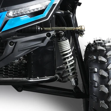 Gasoline Go Kart Engine 150Cc 200Cc 250Cc 300Cc for Adults Off Road Beach Dune Buggy Cross Go Karts
