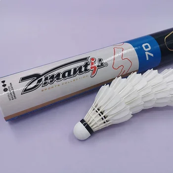 H1afcf44046a44e5890de311ca82c3