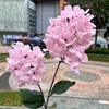 2 teste di ortensia rosa con fiore a pagoda