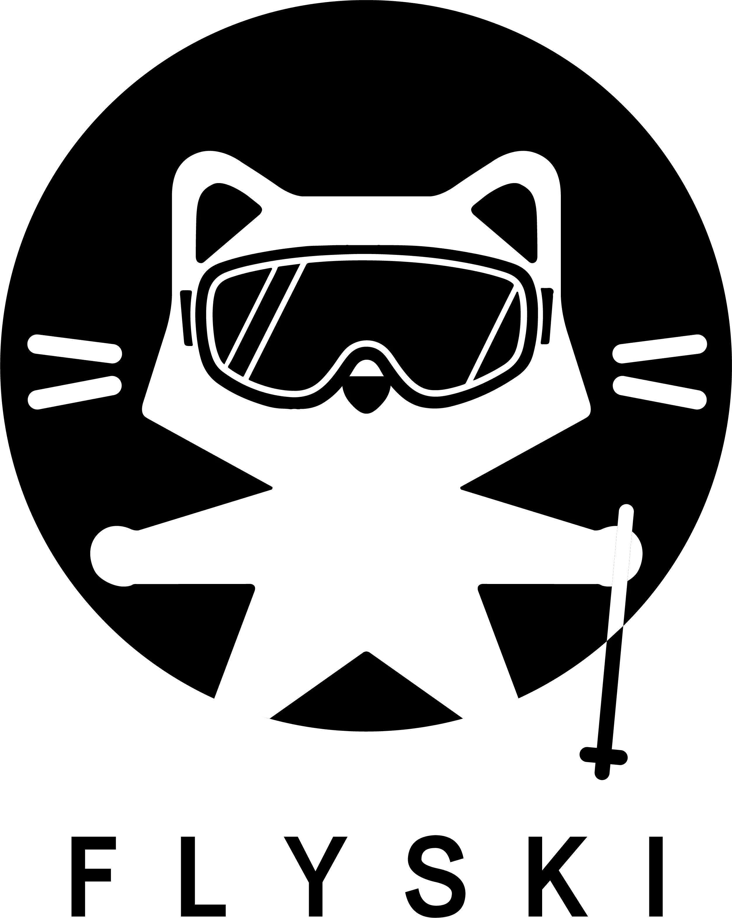 Flyski Technology Co., Limited