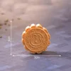 Sei tipi di mooncake colorati